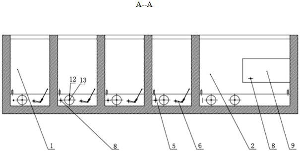 Throat swab virus detection method with isolation, inactivation and protection functions