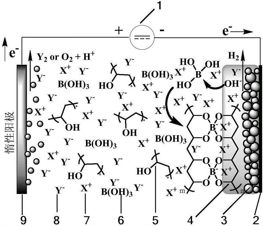 Method for directly preparing polyvinyl borate complexing water gel electrolytes on surface of electrode