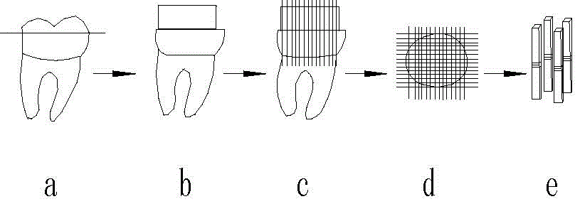 Clamp for preparing dental micro-tensile specimen and process for clamp