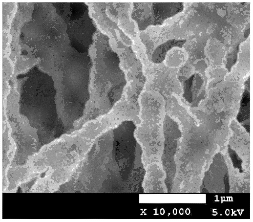 A kind of preparation method of polytetrafluoroethylene superhydrophobic film