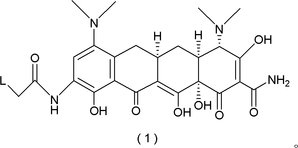 Method for preparing tigecycline intermediate and salt thereof