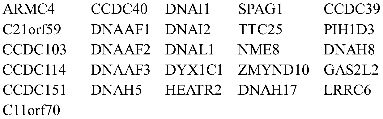 Gene panel kit of Immotile cilia syndrome and application of gene panel kit