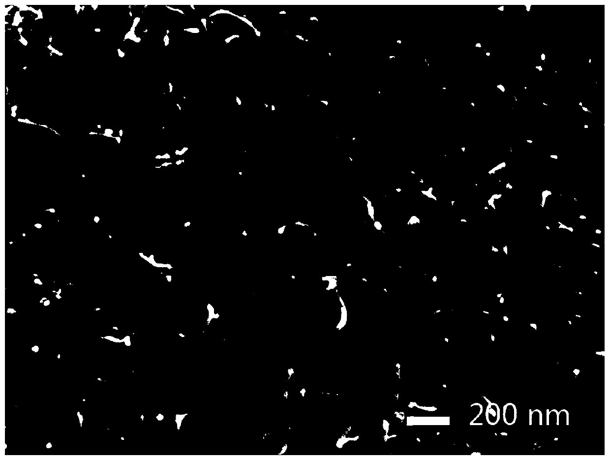 Glutamic acid-modified carbon nanotube composite material and its preparation method and application