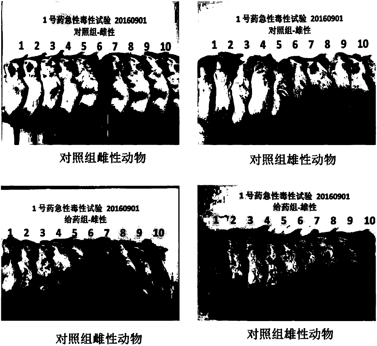 Target drug for treating lung cancer and applications thereof