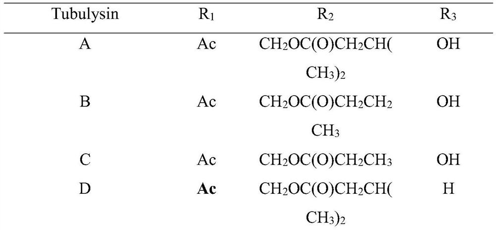 A kind of preparation method of natural active polypeptide tubulysin U