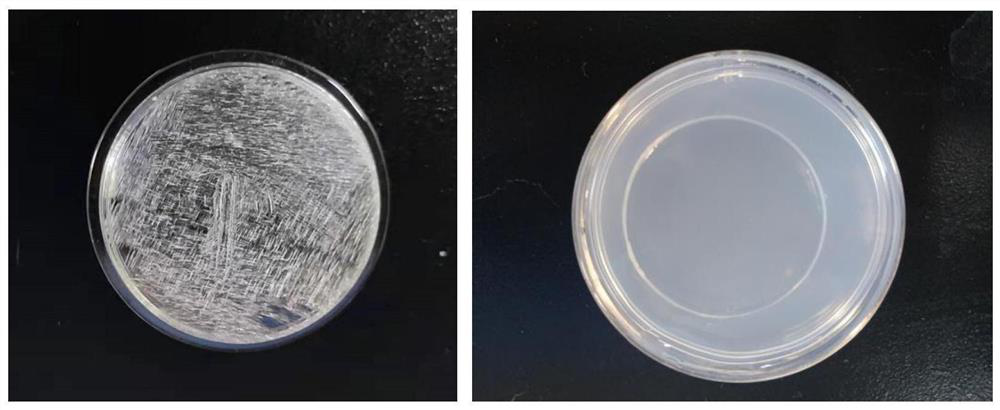 Method for editing CRISPR/Cas9 genes of haliotis discus hannai