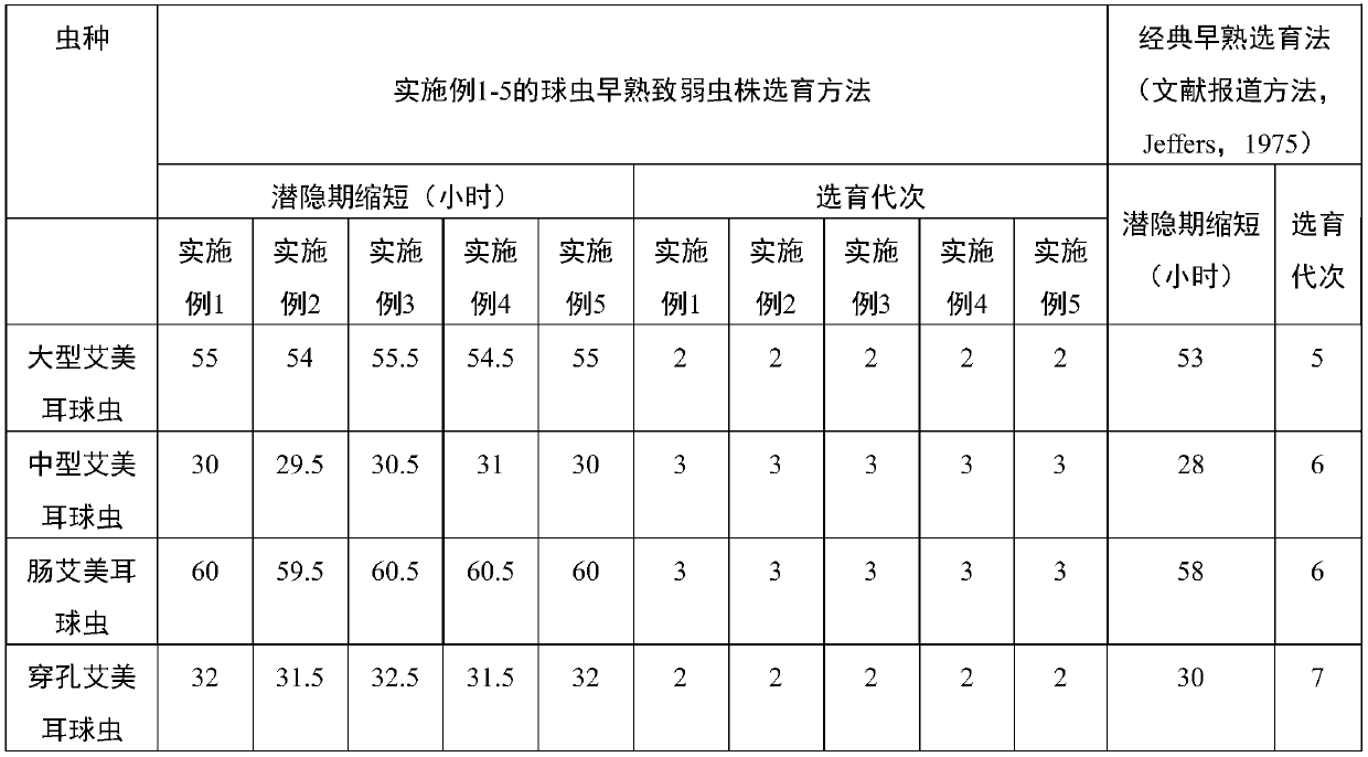 Rabbit coccidiosis live vaccine and preparation method and application thereof