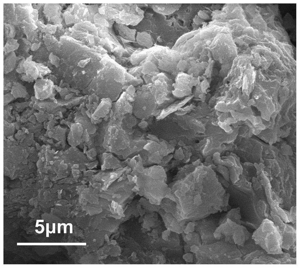 Method for preparing carbon-based adsorption material by using sewage advanced treatment coagulated sludge and application of carbon-based adsorption material