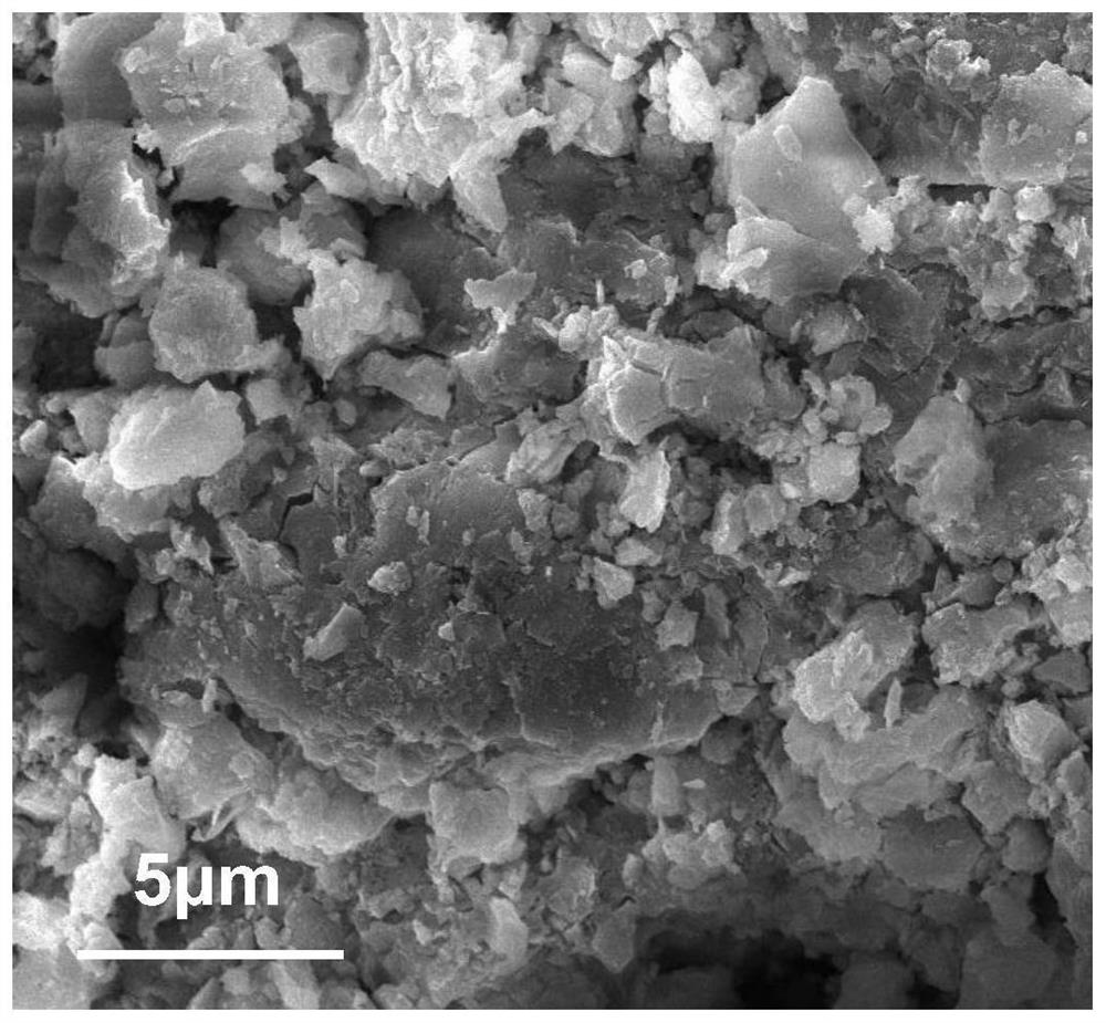 Method for preparing carbon-based adsorption material by using sewage advanced treatment coagulated sludge and application of carbon-based adsorption material