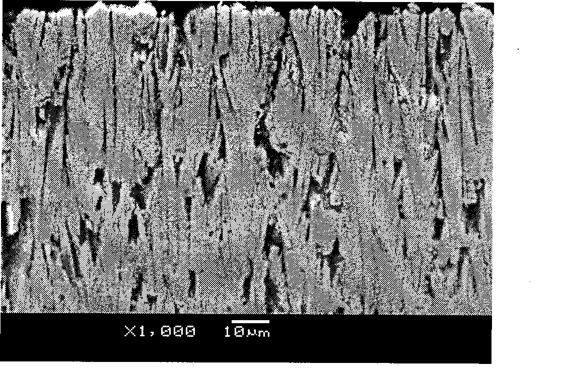 Coating density ultrasonic measurement method based on pressure reflection coefficient phase spectrum