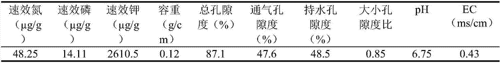 Plantation method for promoting accumulation of Anthurium nutrient growth and prolonging flower viewing period