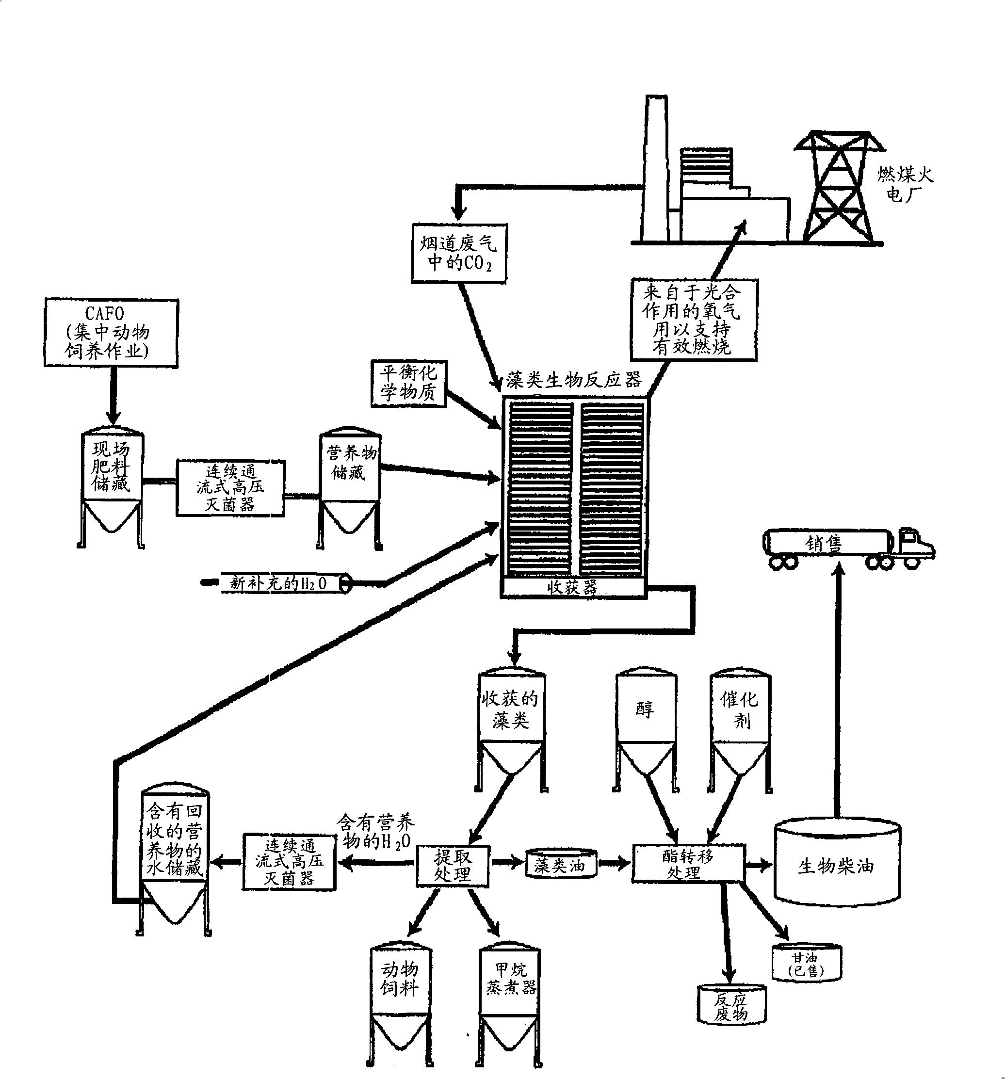 Method, apparatus and system for biodiesel production from algae