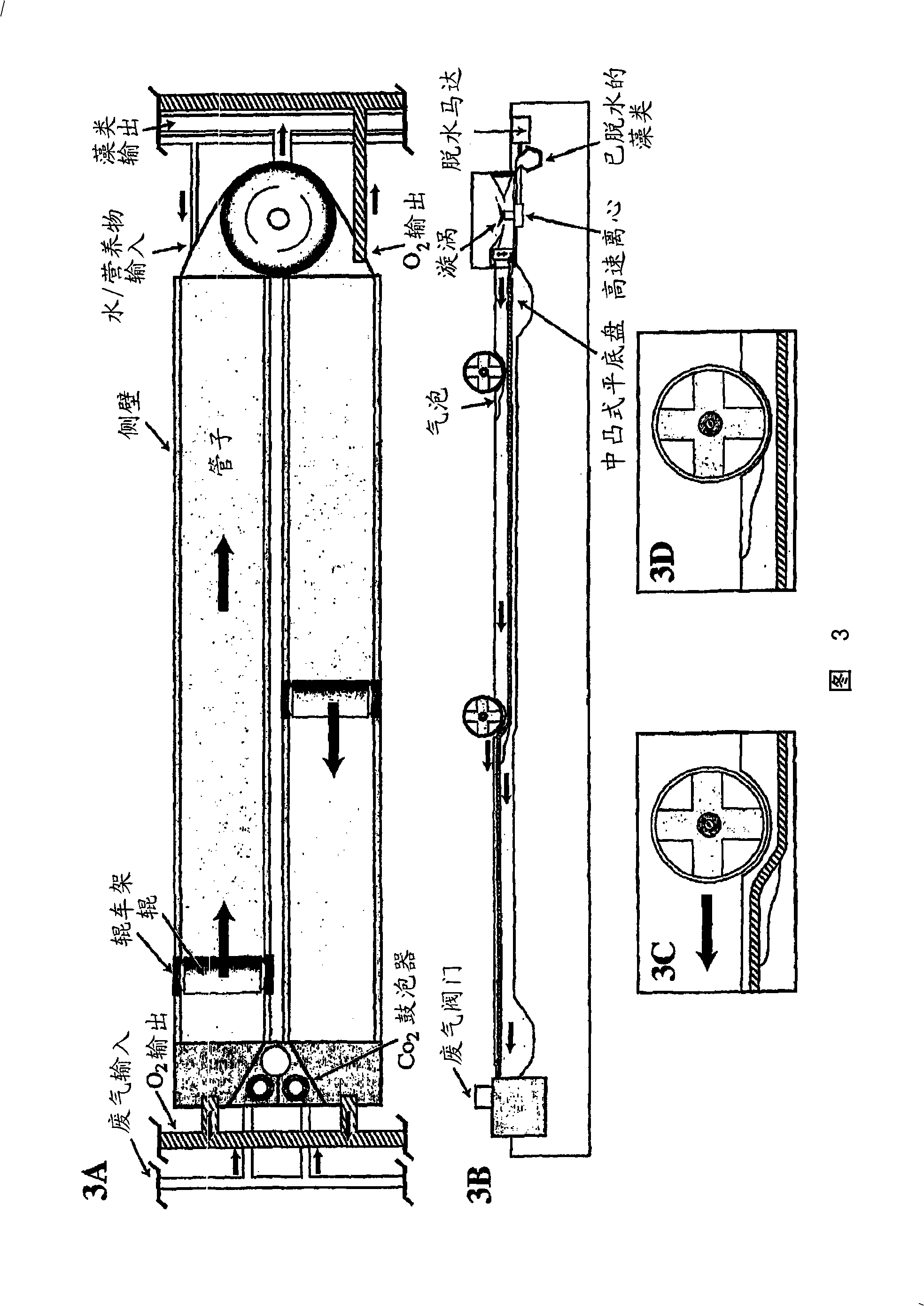 Method, apparatus and system for biodiesel production from algae