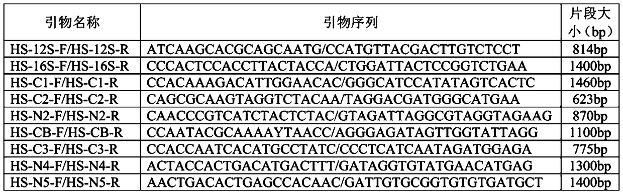 A Sanger-based method for sequencing the human mitochondrial genome