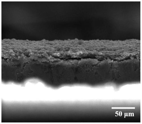 Porous composite pole piece and preparation method and application thereof in all-solid-state lithium battery