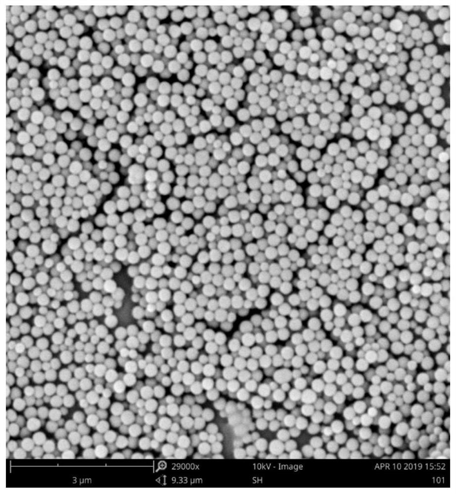 Amidoxime-modified silica nano-microsphere composite material and preparation method thereof