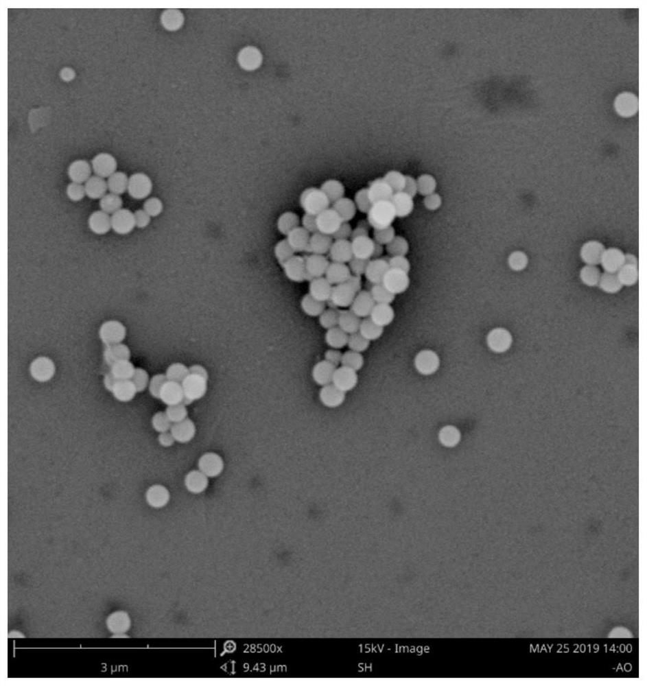 Amidoxime-modified silica nano-microsphere composite material and preparation method thereof