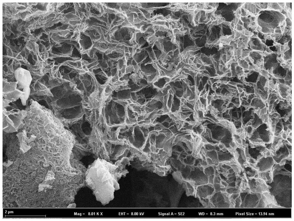 A kind of negative electrode material and preparation method thereof and sodium ion battery containing the negative electrode material