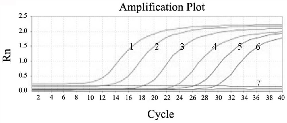 A detection primer and fluorescent quantitative PCR detection method for Acinetobacter lwwei