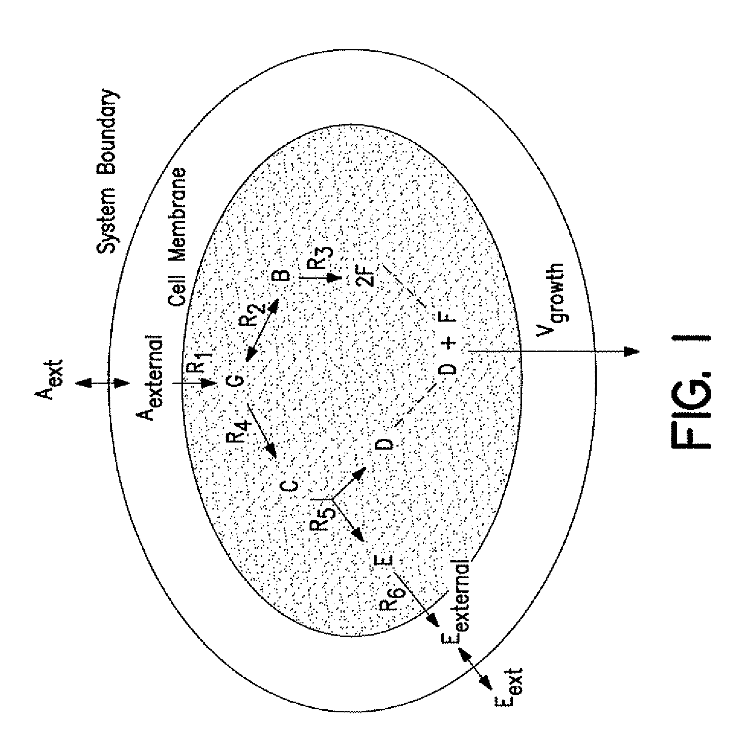 Data structures and methods for modeling <i>Saccharomyces cerevisiae </i>metabolism