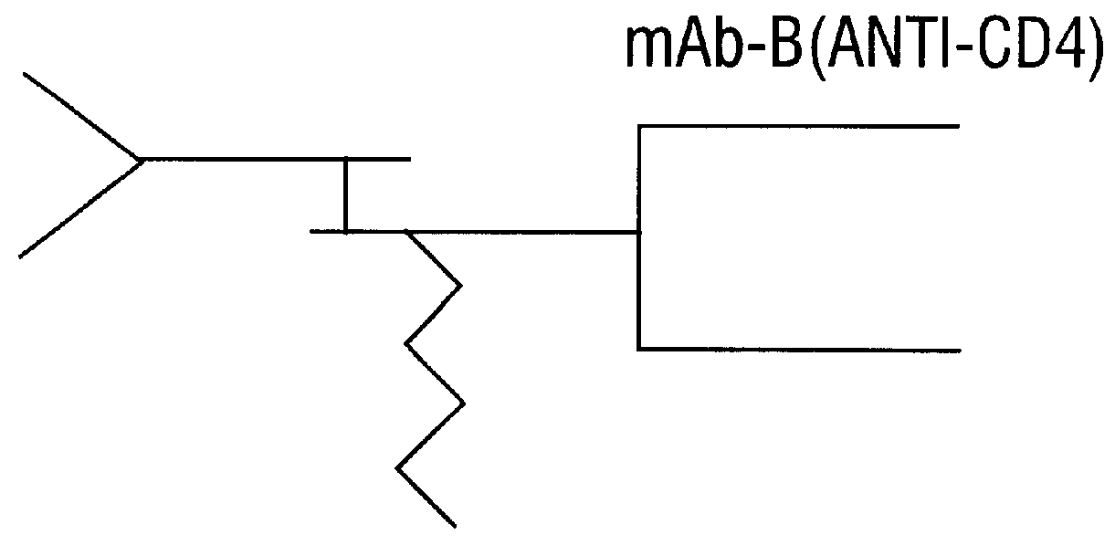 Methods of promoting immunopotentiation and preparing antibodies with anti-CD3 antibodies