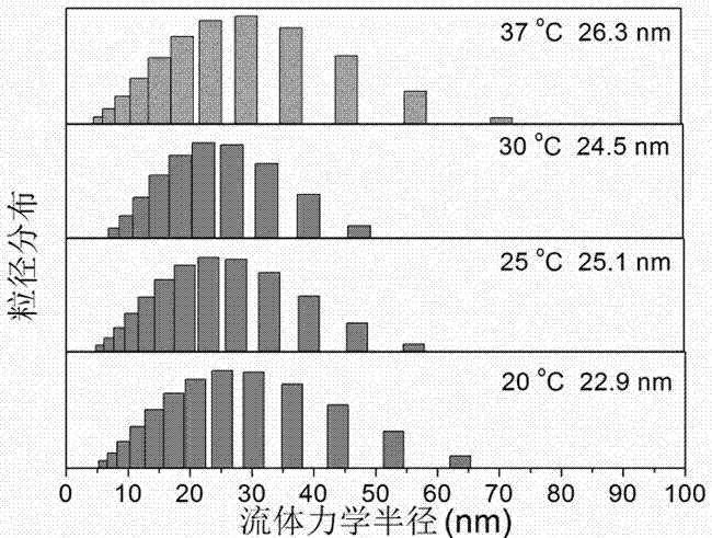 Liquid micellar preparation for increasing active closed-loop rate of camptothecin derivatives as well as preparation method and applications of preparation