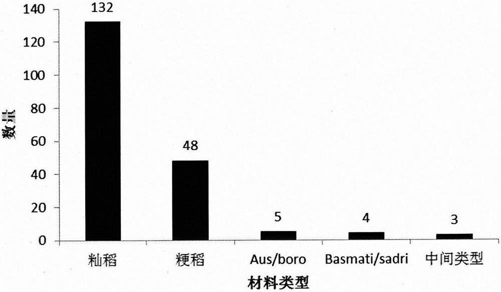 SNP Molecular Marker Combination for Rice Genotyping and Its Application