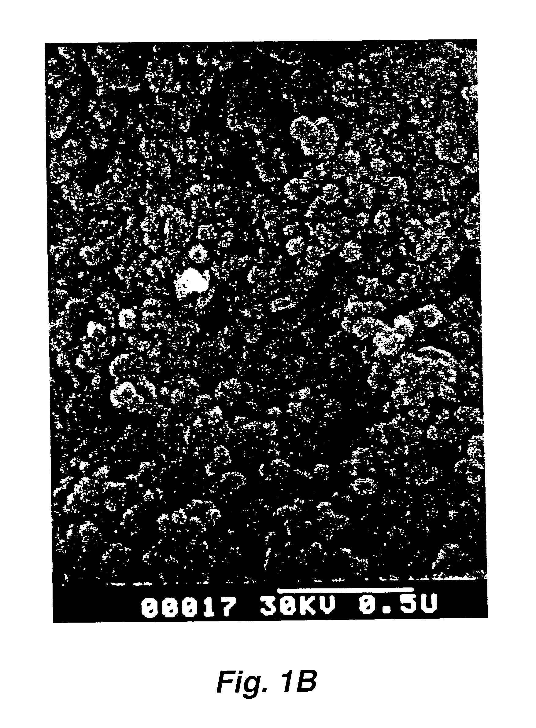 Silica precipitate