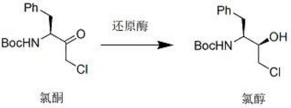 Method used for synthesis of atazanavir intermediate chlorhydrin via bio-enzyme catalysis