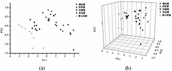 Method for detecting honey sources