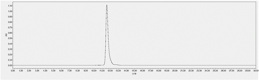 Ginseng fermentation puree as well as preparation method and application thereof