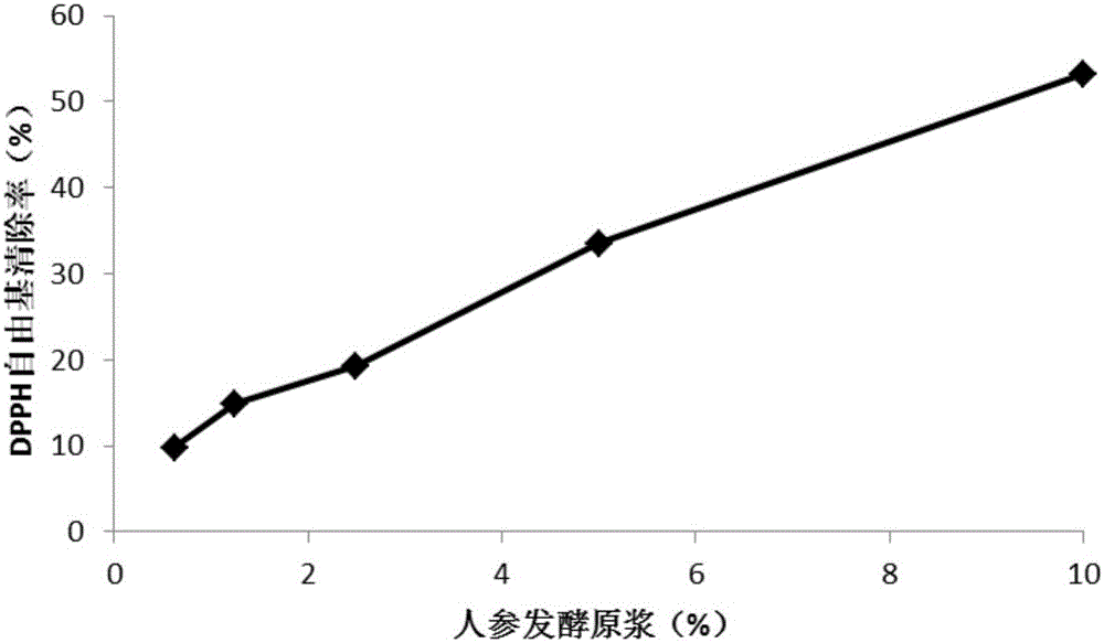 Ginseng fermentation puree as well as preparation method and application thereof