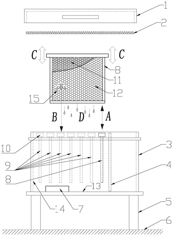 An ecological reward feeding method for improving bee colony vigor