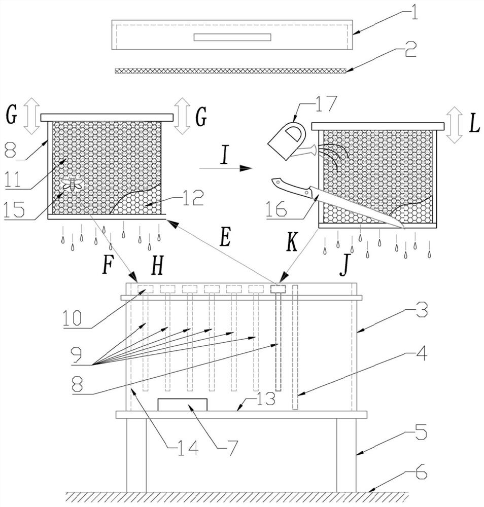 An ecological reward feeding method for improving bee colony vigor