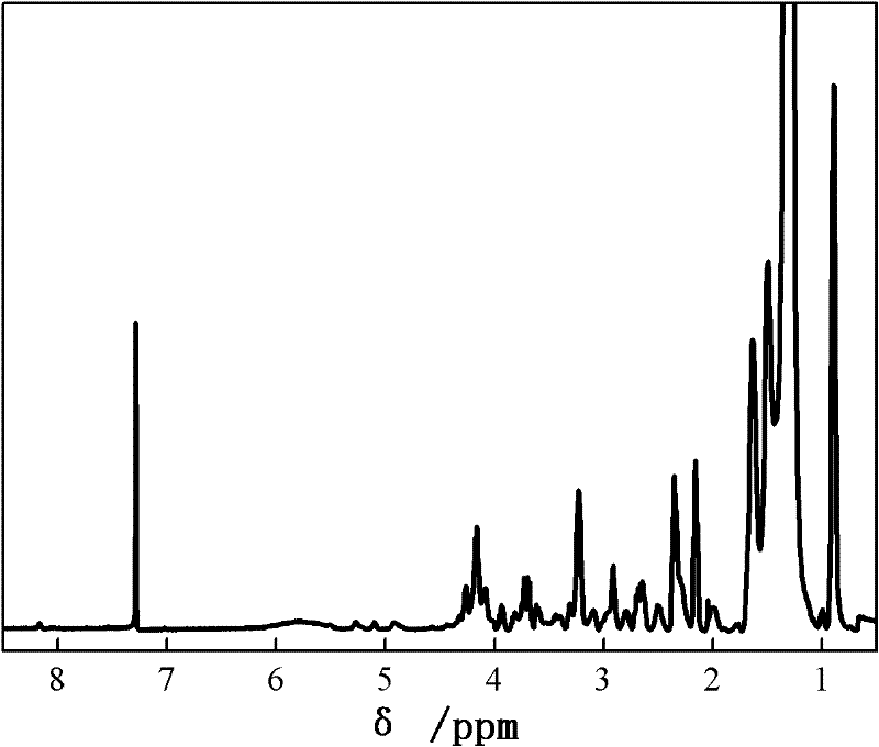 Soybean oil based elastomer raw rubber, soybean oil based elastomer and preparation method thereof