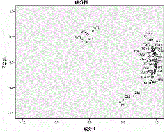 Method for identifying tea species and determining contents of 21 characteristic components