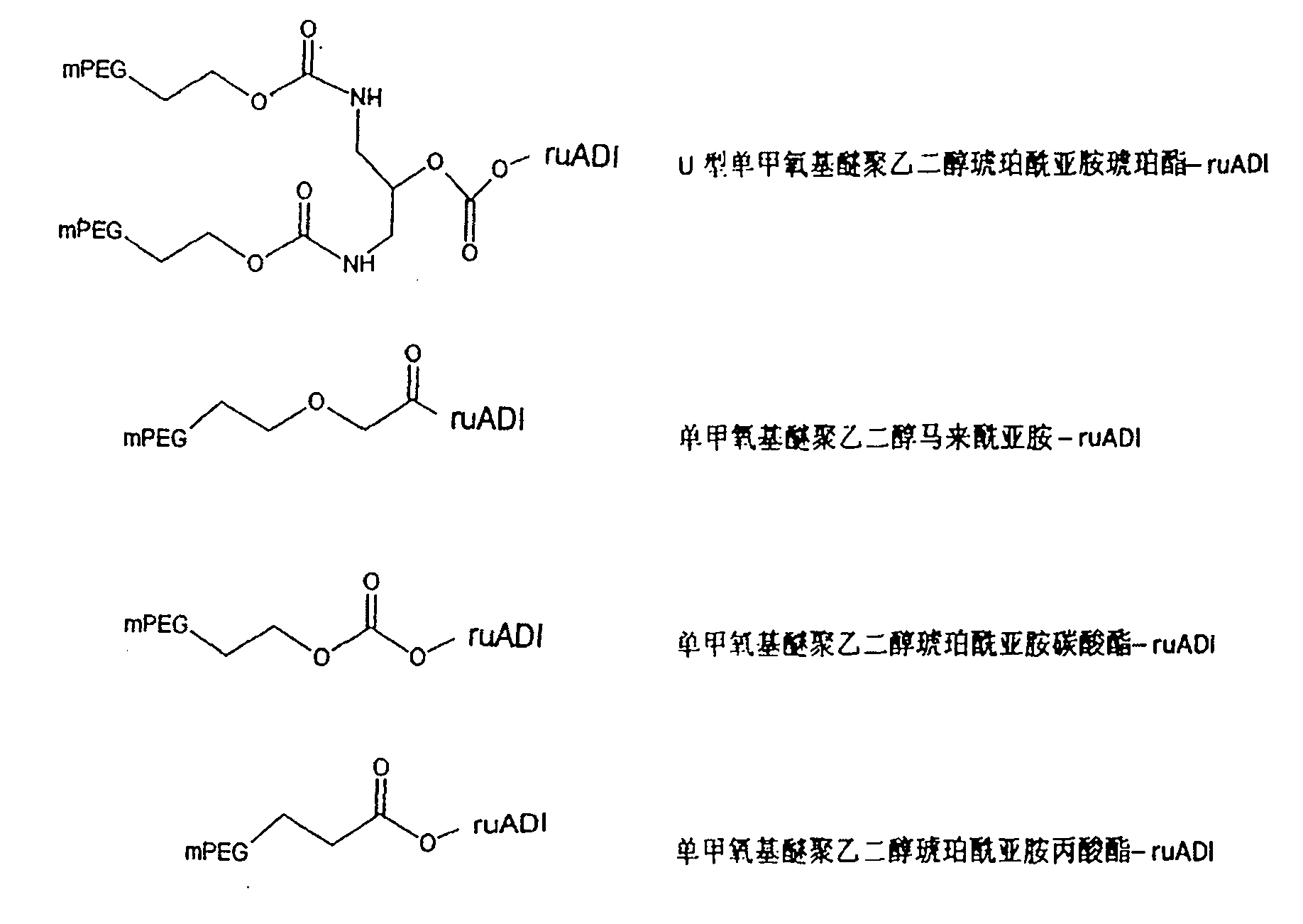 Metarginase and recombination expression method and use thereof