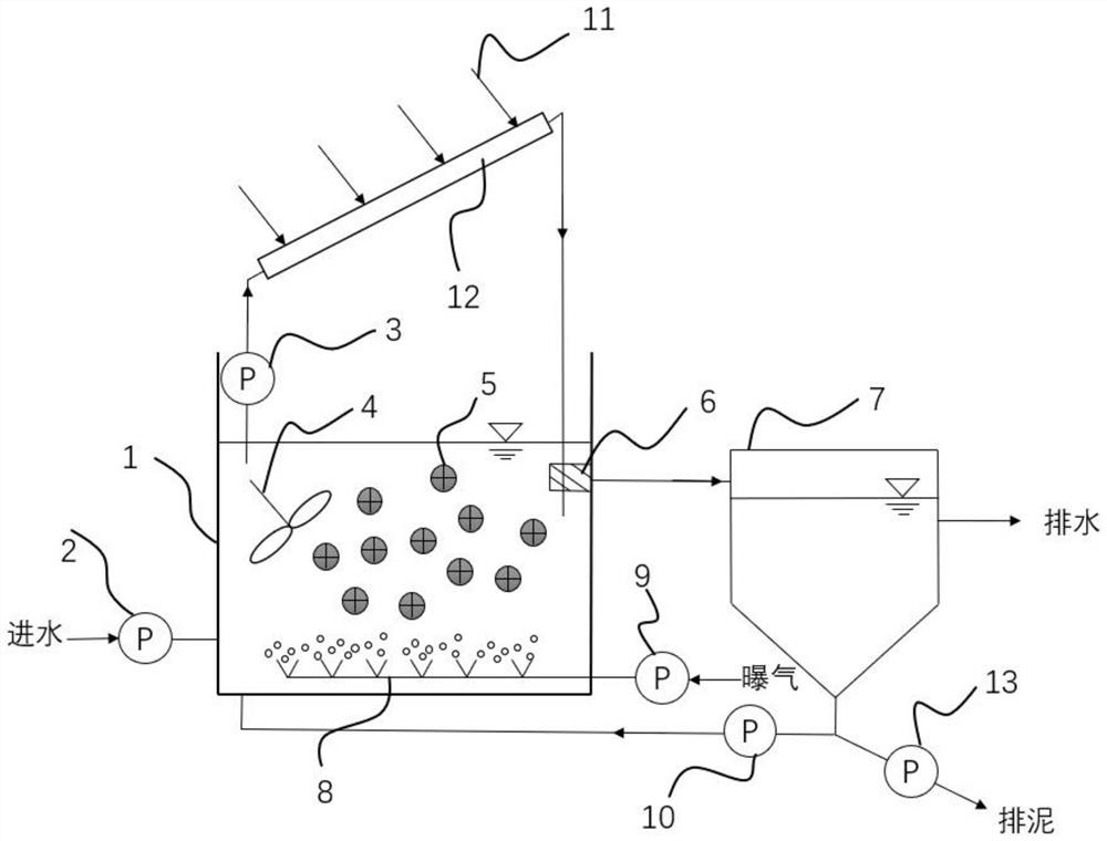 Sludge film composite autotrophic nitrogen removal technology and reactor based on light induction