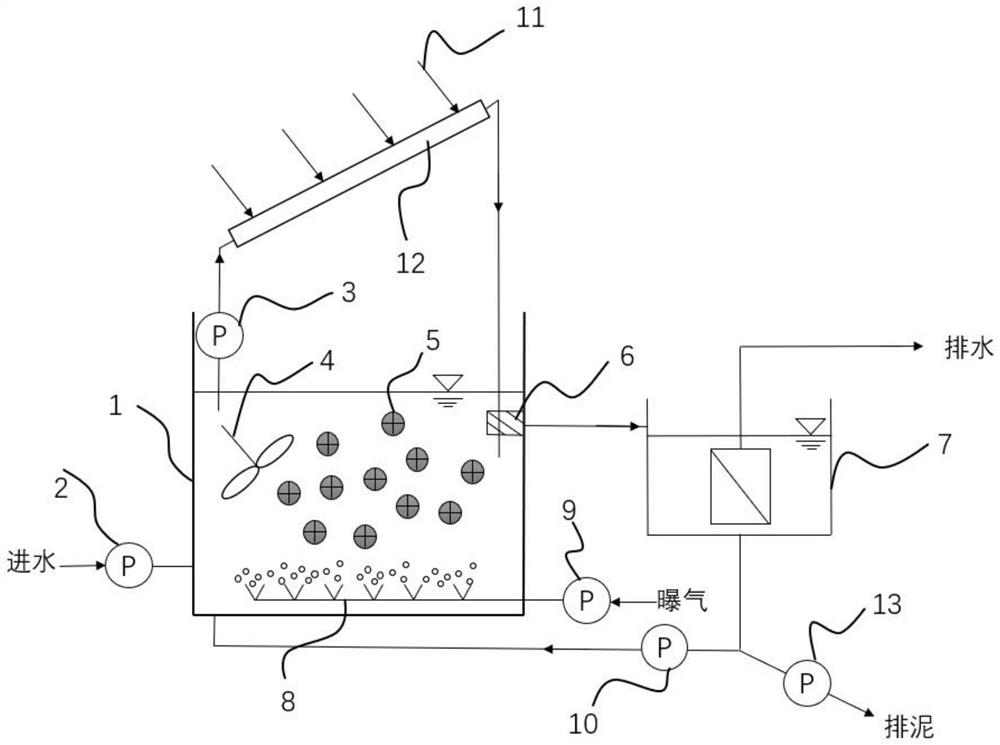 Sludge film composite autotrophic nitrogen removal technology and reactor based on light induction