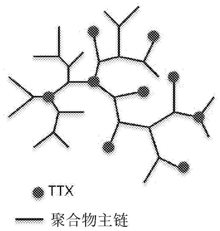 Covalent anesthetic-polymer conjugates for prolonged local anesthesia