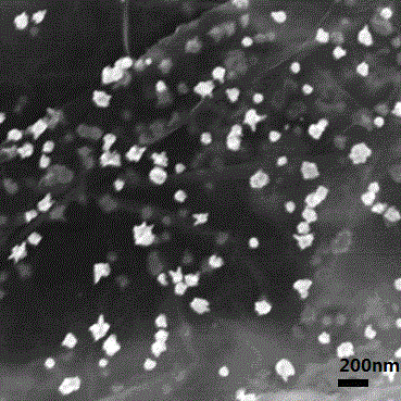 A kind of preparation method of graphene-supported tin-nickel nano-alloy particle composite material