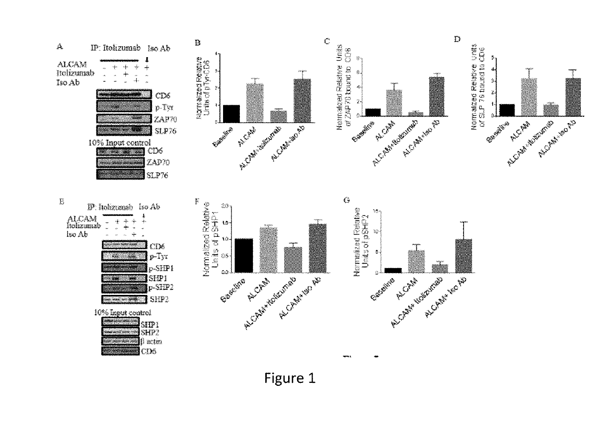 Use of itolizumab to reduce phosphorylation of cd6