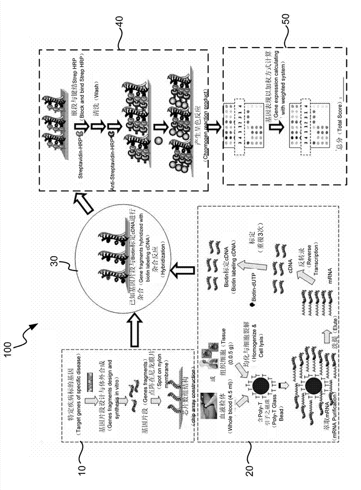 Gene group test structure