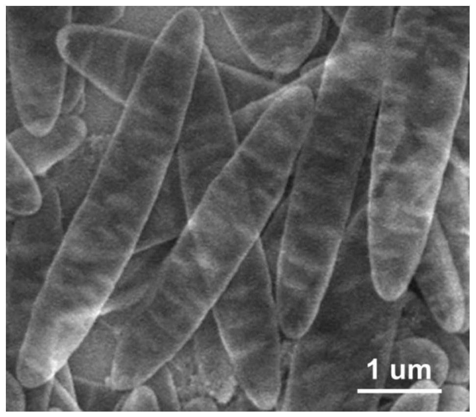 Rough surface polymer composite material, nano-carbon material, preparation method and application