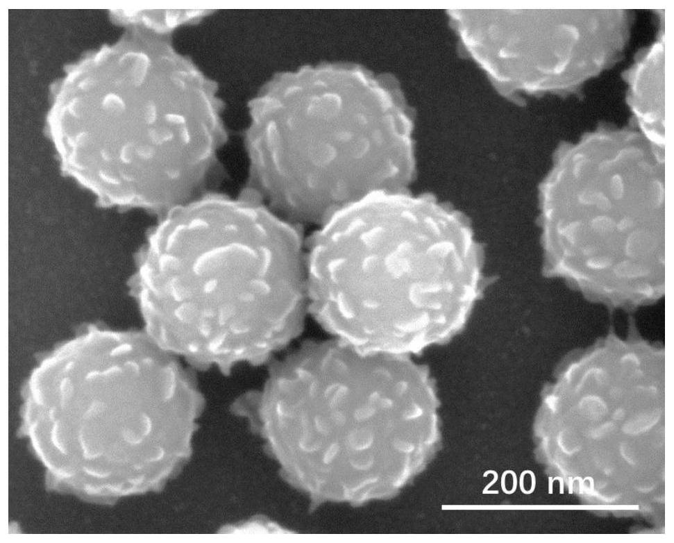 Rough surface polymer composite material, nano-carbon material, preparation method and application