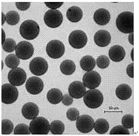 Preparation method of protein affinity blotting aquagel polymers based on acrylamide group metal chelation monomers