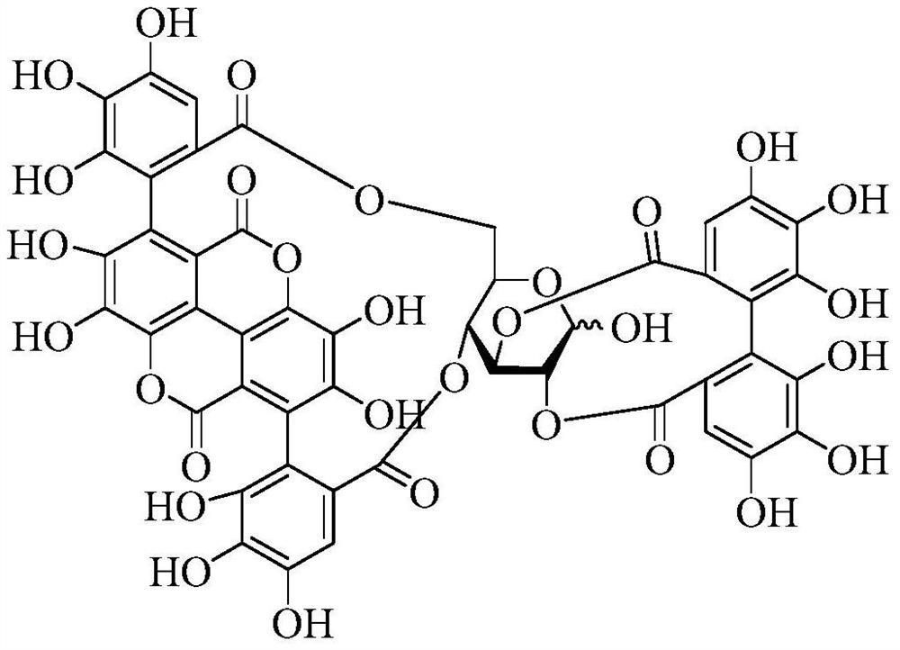 Synergistic herbal compositions for testosterone boosting