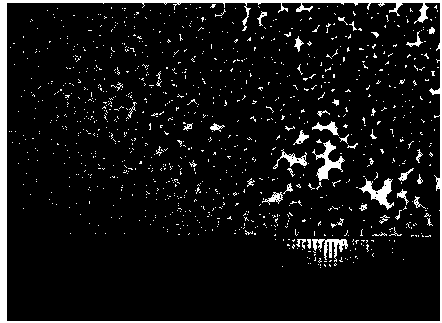 Manufacture method of cistanche seed pelleting