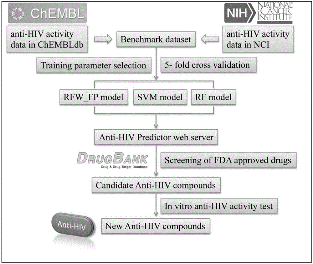 Application of Dalbavancin in preparation of medicine for curing AIDS