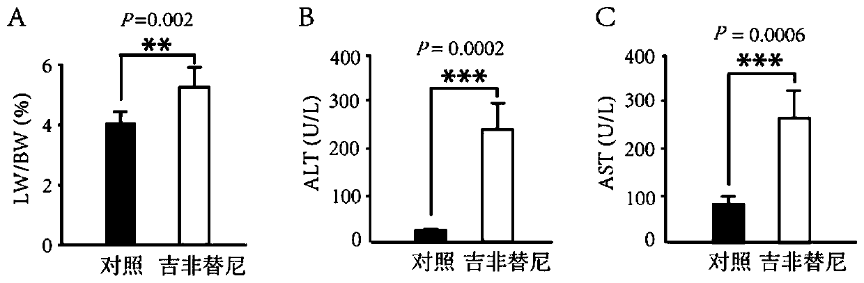 Application of a composition in the preparation of drugs for the treatment of gefitinib hepatotoxicity